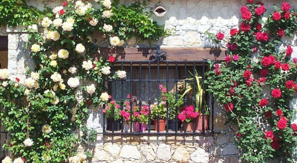 Castel Garoupe Hotel อองทีบส์ ภายนอก รูปภาพ